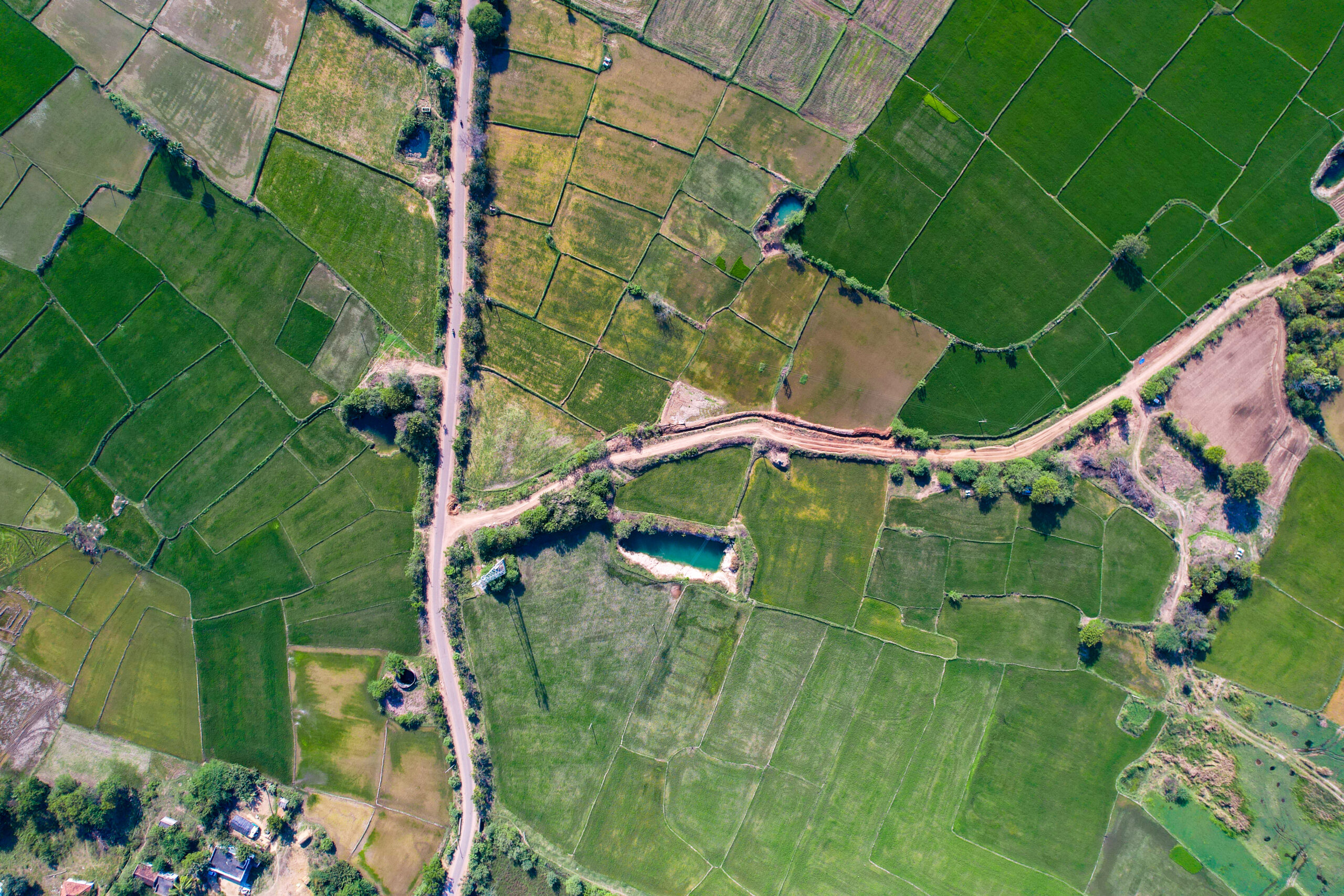 Aerial view of an agricultural field under the sunlight